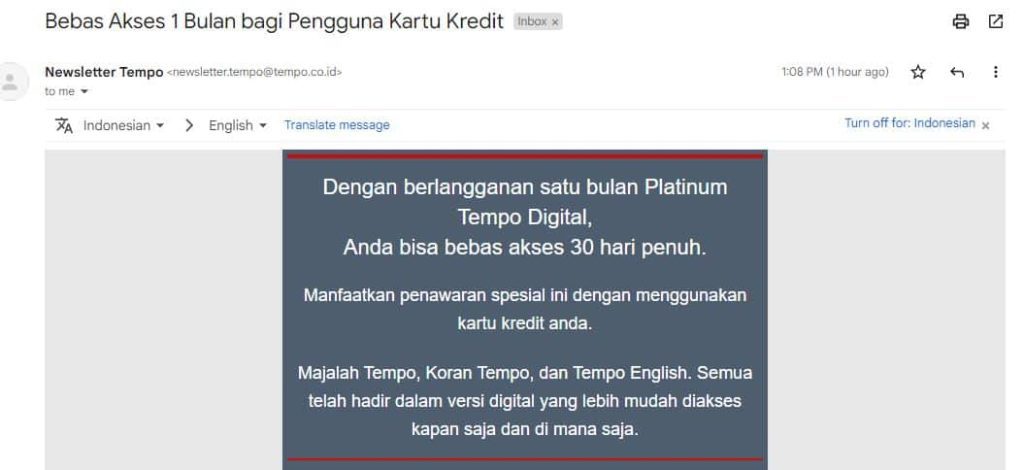 Contoh daripada Jenis Email Promosi
