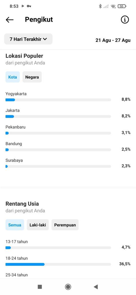Istilah Instagram Insight Pada Bagian Audience