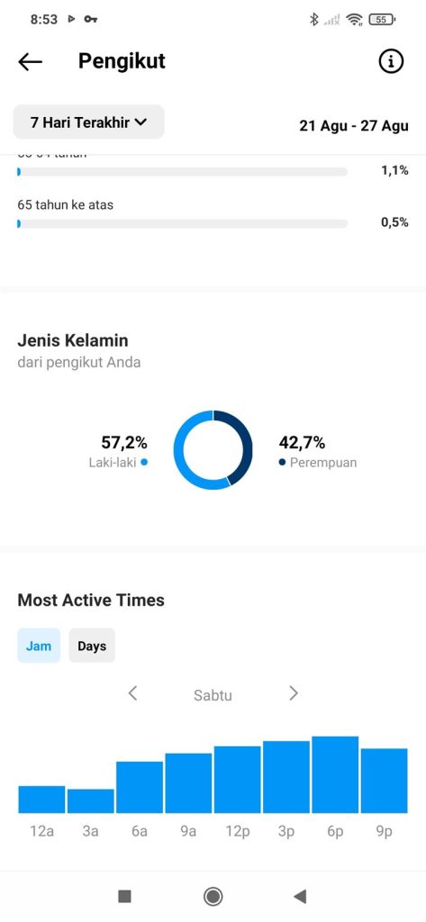 Instagram Insight Pada Bagian Audience Menjelaskan Demografi Audiens Instagram Marketing