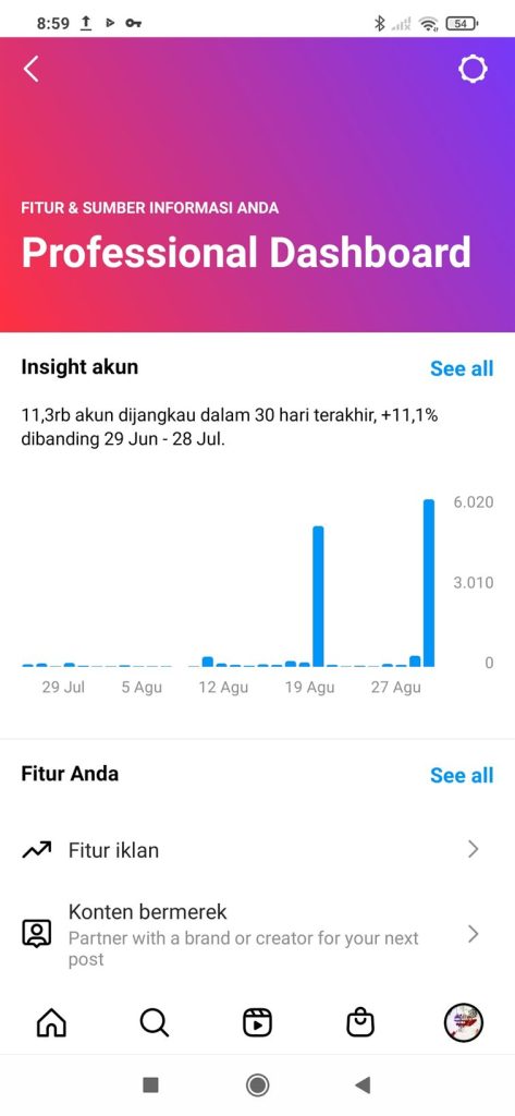 Tampilan Instagram Insight Fitur untuk Analisa Performa Instagram