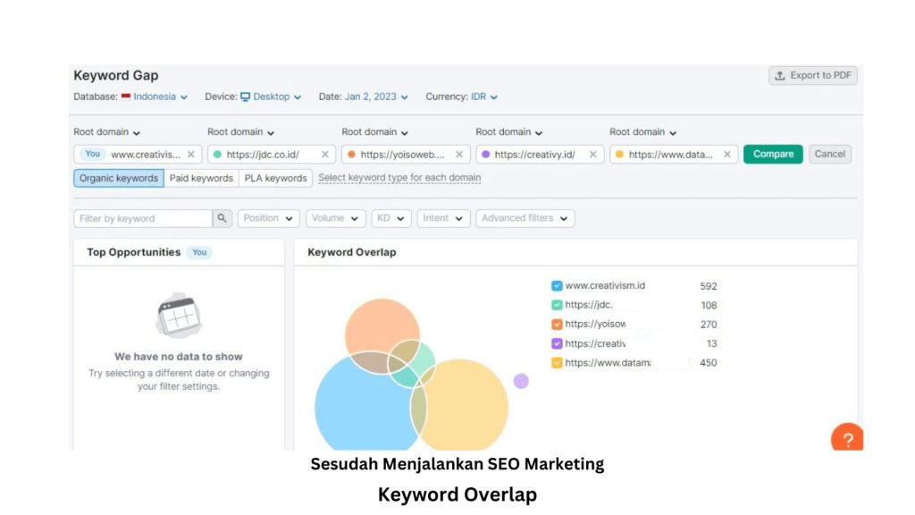 Keyword Overlap Setelah SEO