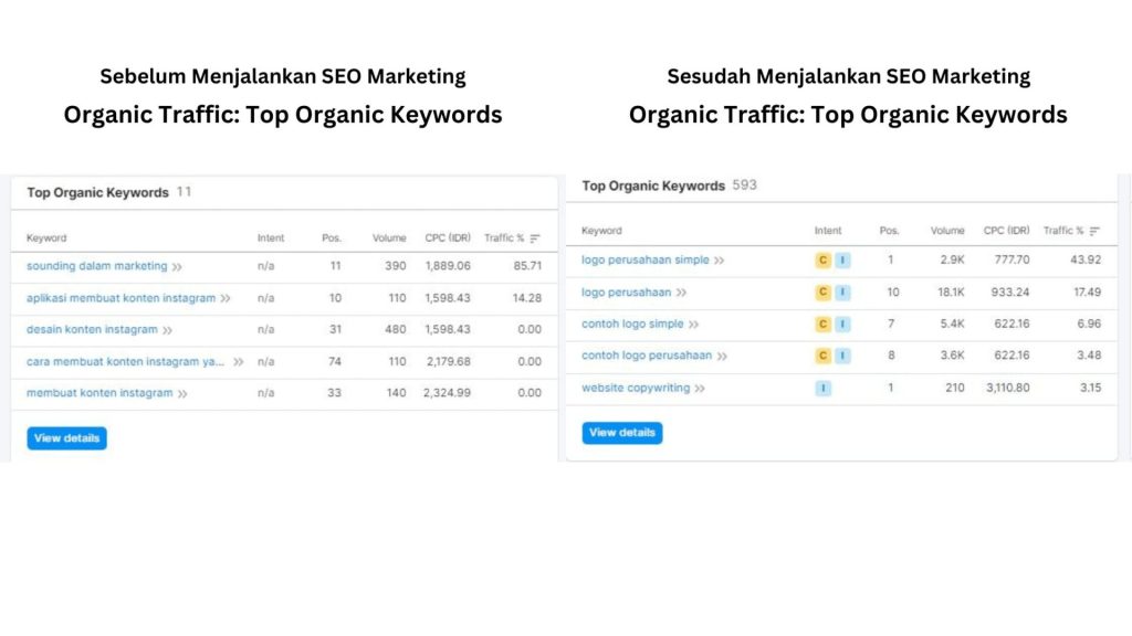 Organic Keyword Top Organic Keyword