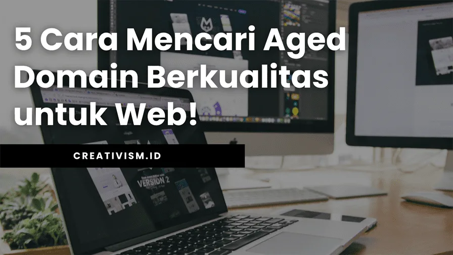 5 Cara Mencari Aged Domain Berkualitas untuk Web!