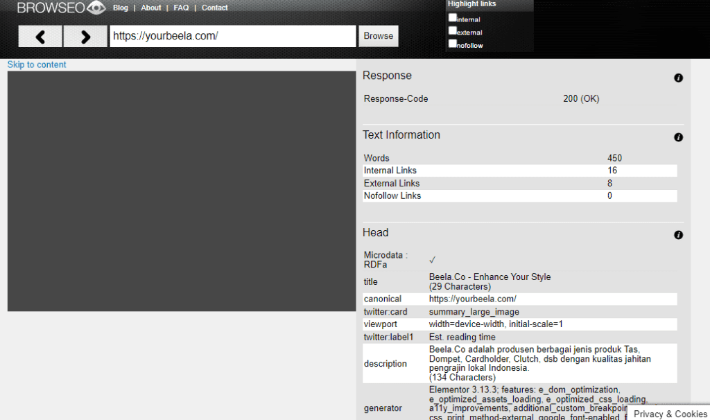 Pengecekkan Teknis Website
