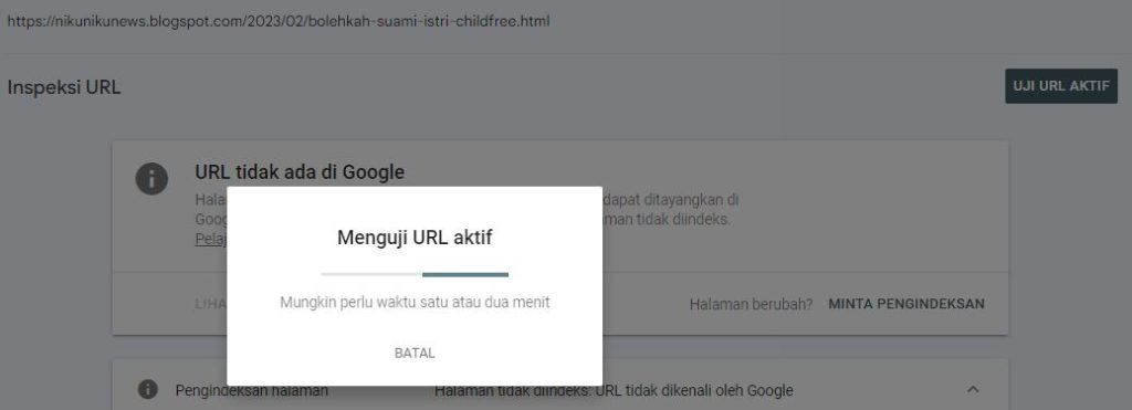 Proses Indexing dengan Search Console