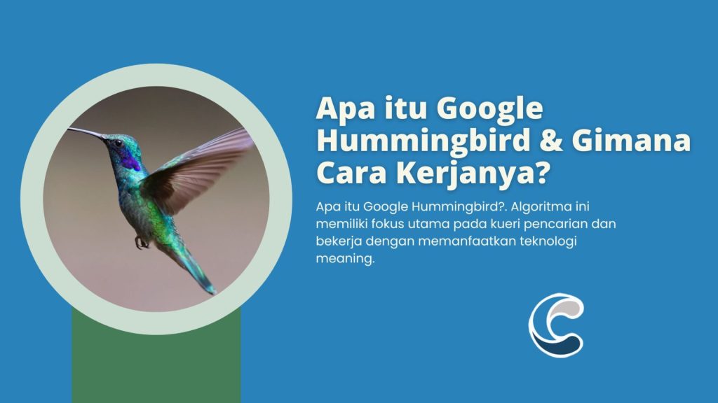 Apa itu Google Hummingbird & Gimana Cara Kerjanya