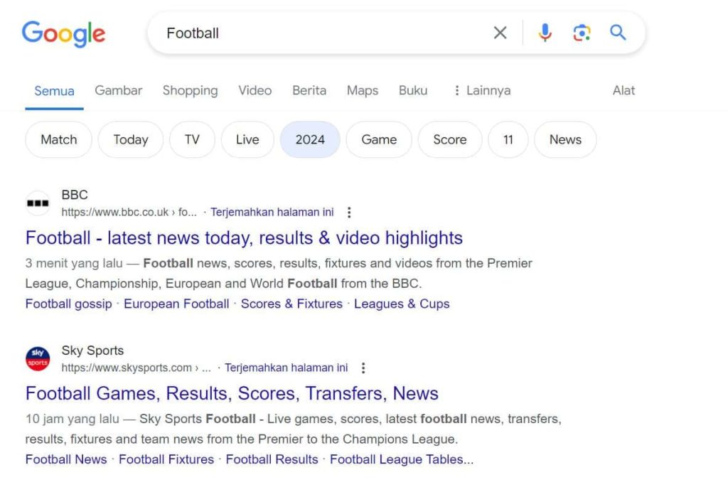SERP Google Versi Global