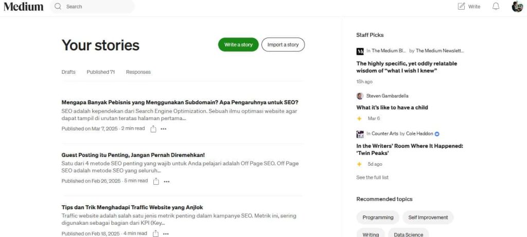 Perbedaan Dashboard Medium vs Substack