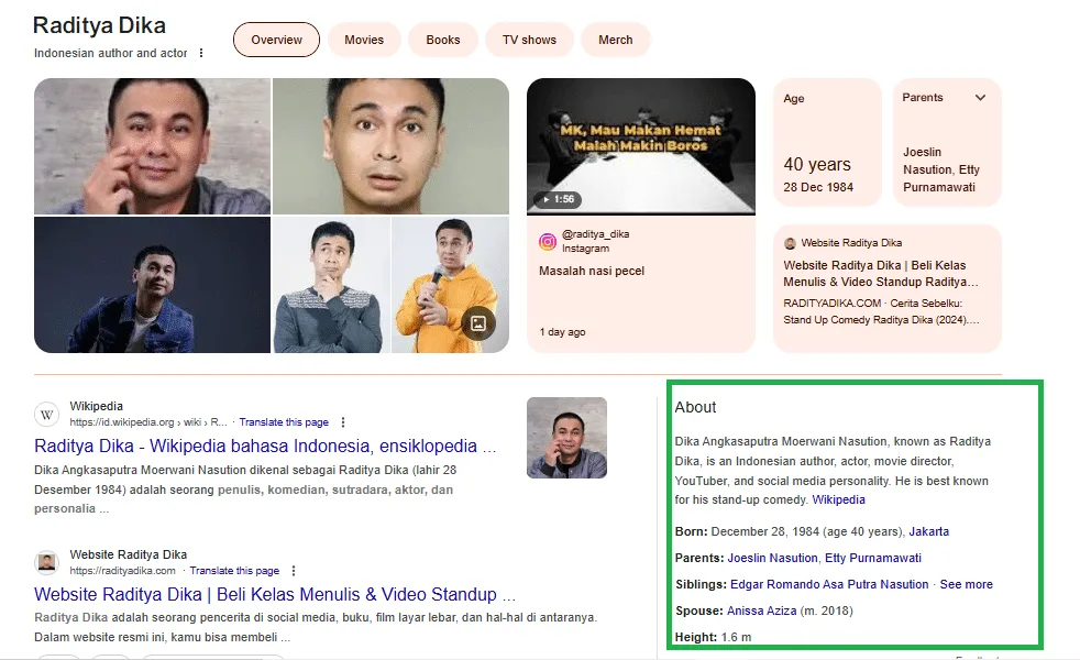 Boks Informasi atau Panel Google untuk Entitas Tertentu