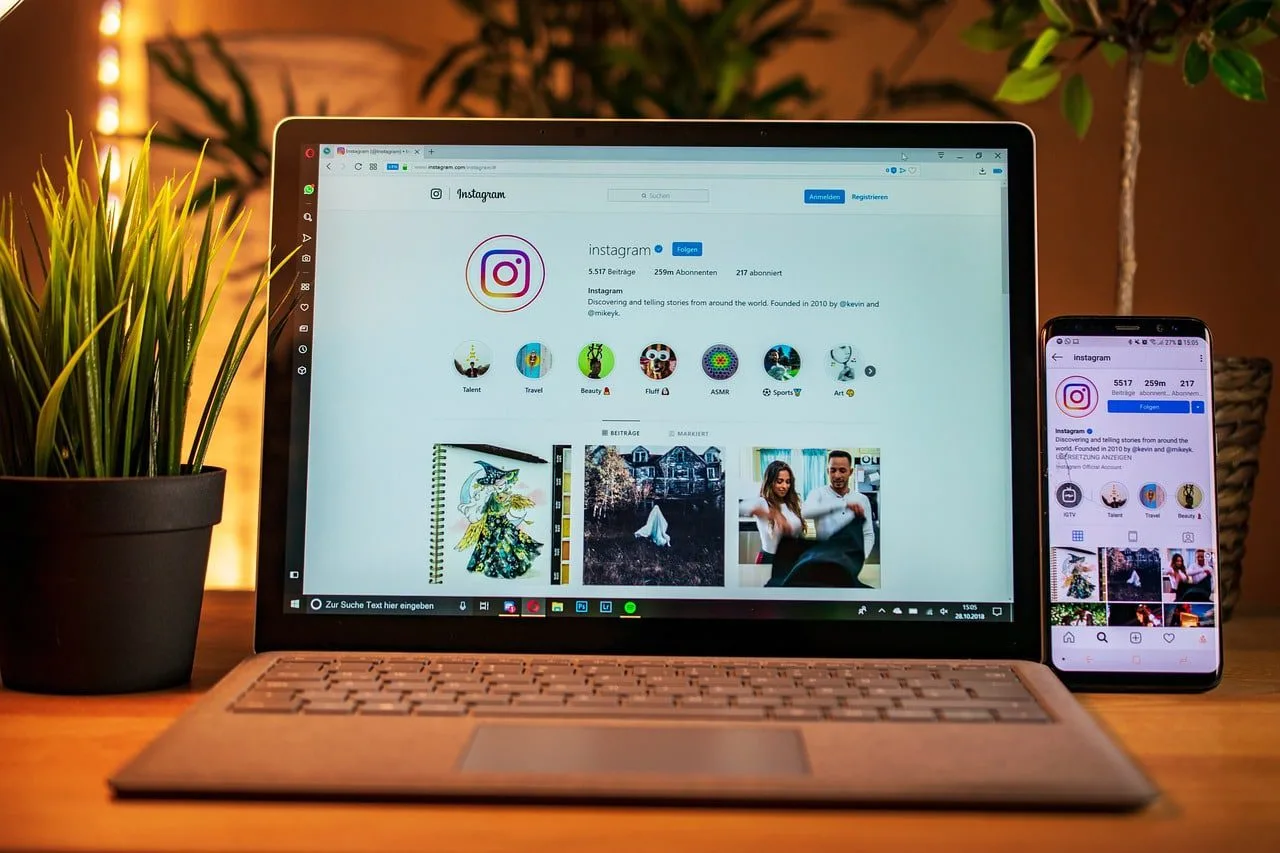 Feed ig artinya