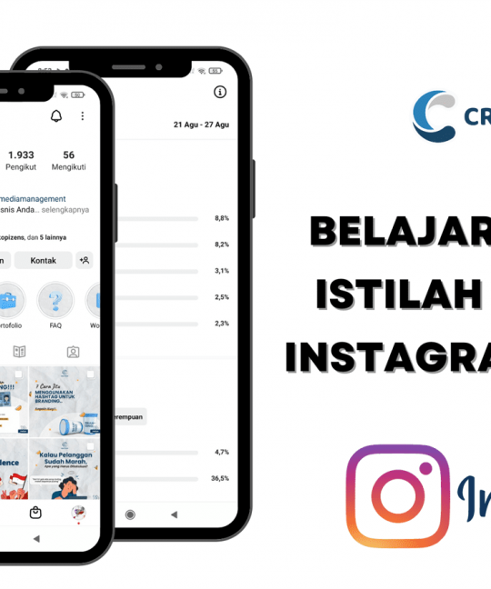 Belajar Lengkap Istilah di Instagram Insight