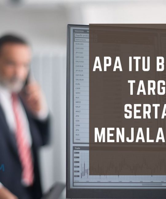 Apa itu Behavioral Targeting Serta Cara Menjalankannya