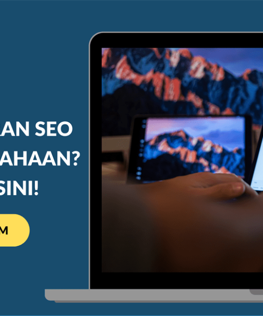 Apa Saja Peran SEO dalam Perusahaan Simak di sini!