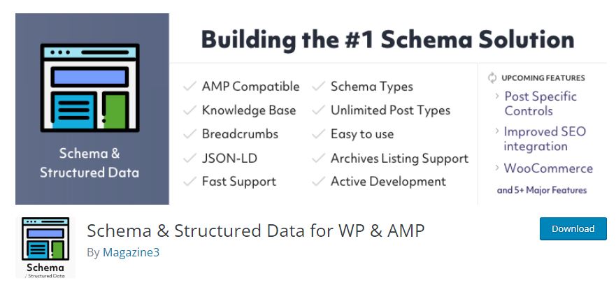 Schema Data for WP and AMP