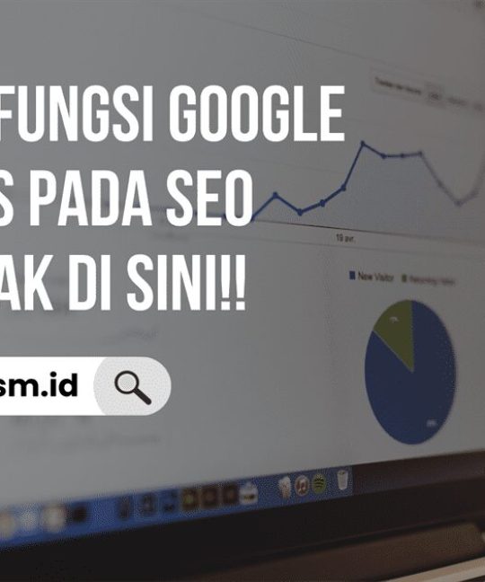 Apa Saja Fungsi Google Analytics pada SEO Web