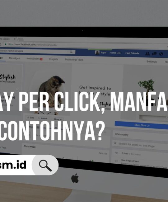 Apa itu Pay Per Click, Manfaat dan juga Contohnya