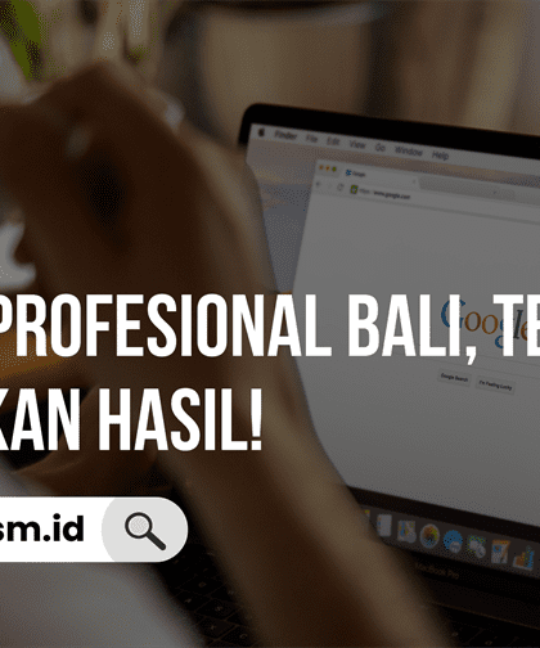 Jasa SEO Profesional Bali