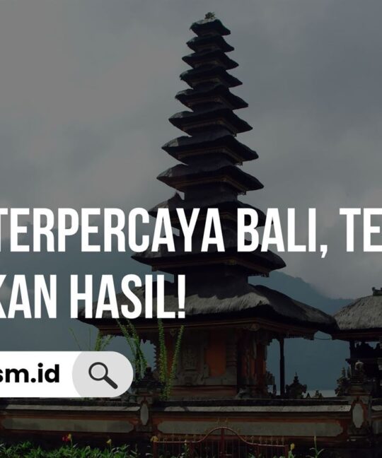 Jasa SEO Terpercaya Bali, Terbukti Memberikan Hasil!