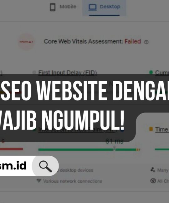 Cara Cek SEO Website dengan Mudah, Pemula Wajib Ngumpul!