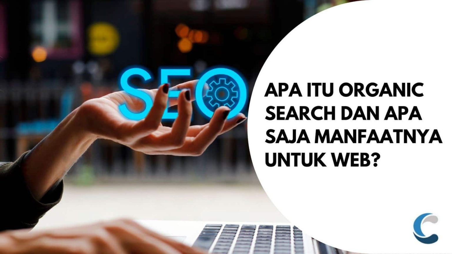 Apa itu Organic Search dan Apa Saja Manfaatnya untuk Web? - Creativism