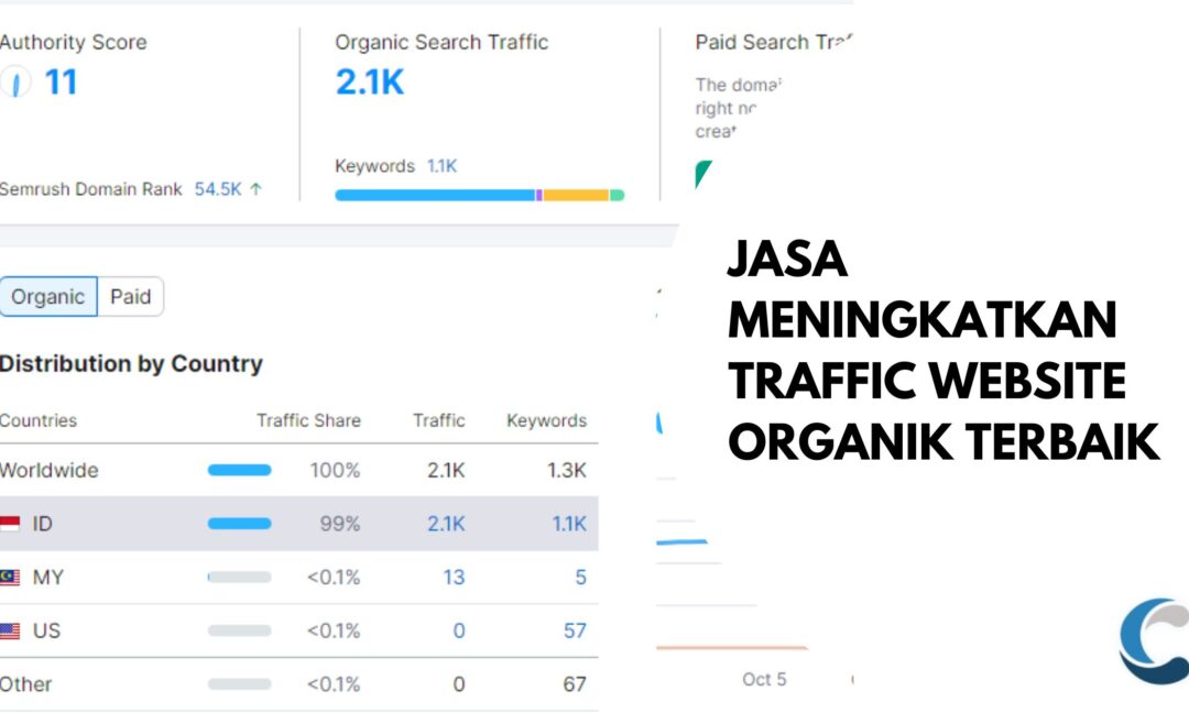 Jasa Meningkatkan Traffic Website Organik Terbaik