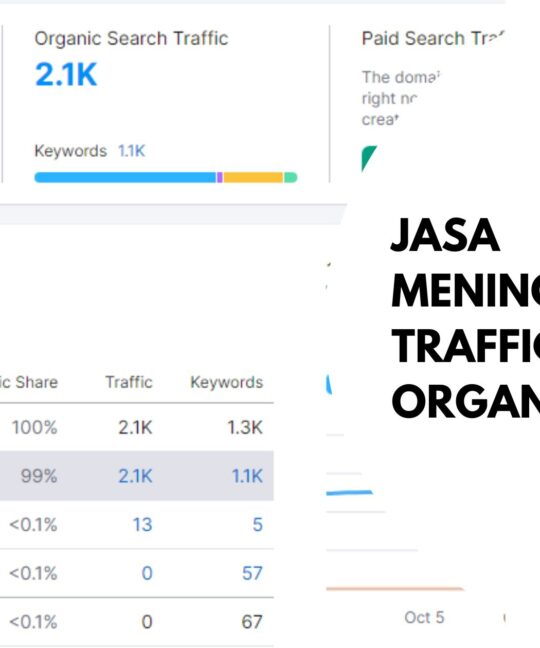 Jasa Meningkatkan Traffic Website Organik Terbaik
