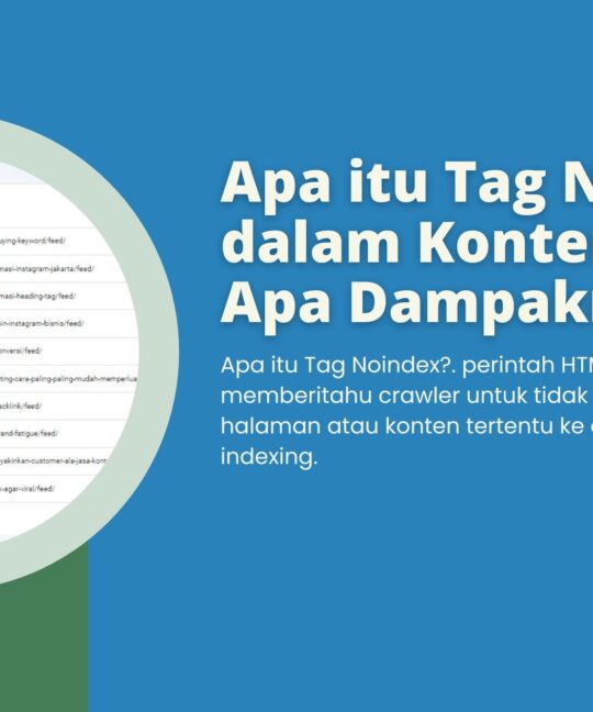 Apa itu Tag Noindex di dalam Konten SEO Apa Dampaknya