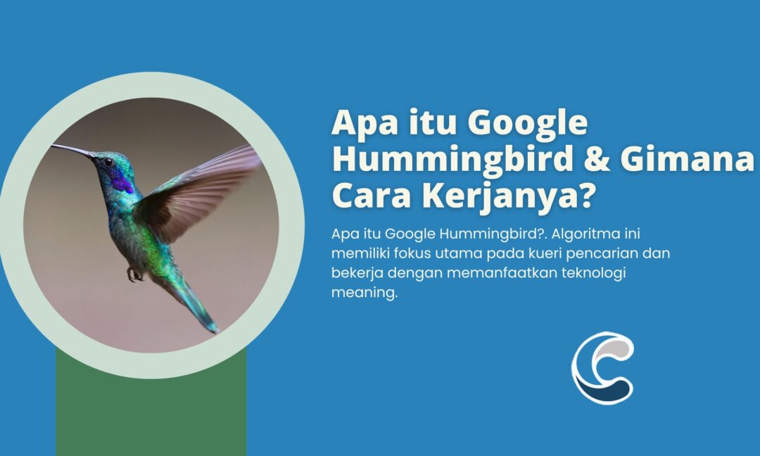 Apa itu Google Hummingbird & Gimana Cara Kerjanya
