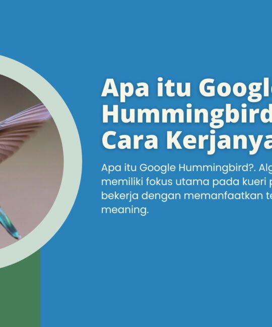 Apa itu Google Hummingbird & Gimana Cara Kerjanya
