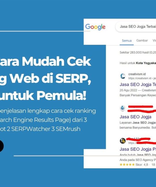 Inilah Cara Mudah Cek Ranking Web di SERP, Cocok untuk Pemula!