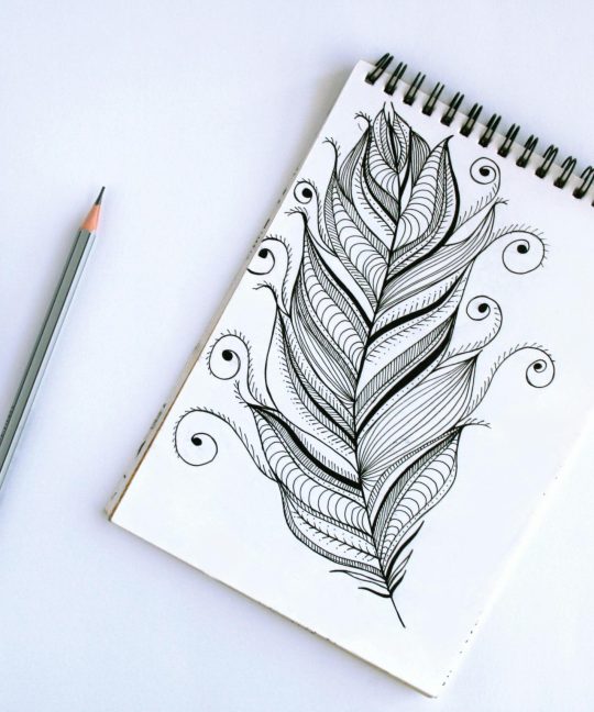 Bagaimana Cara Membuat Sketsa Logo