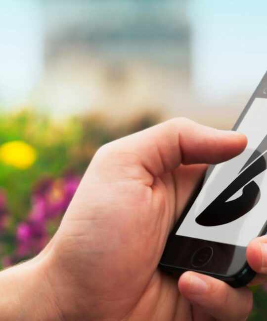 Visual Identity Adalah