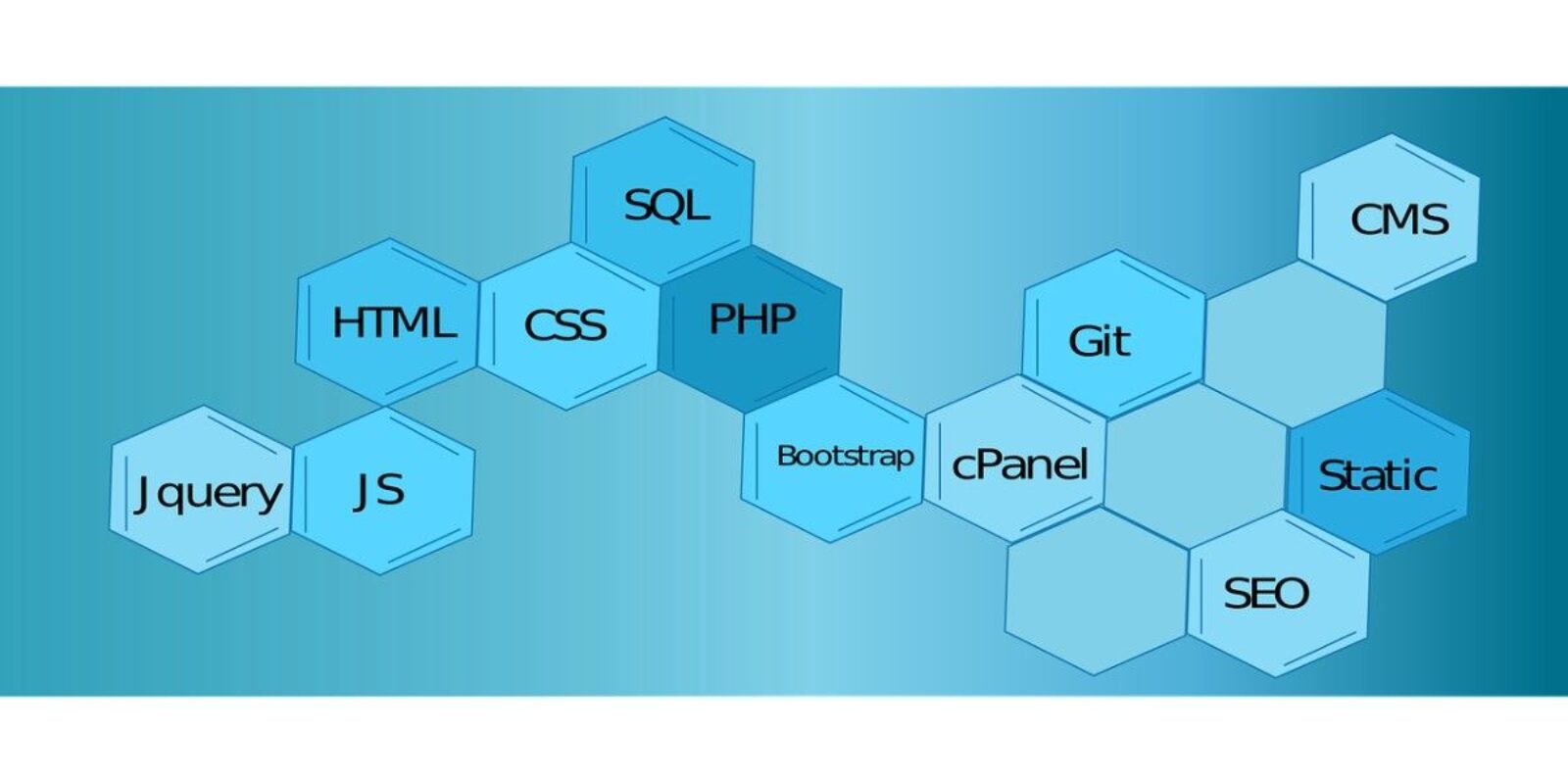 Belajar Coding di HP