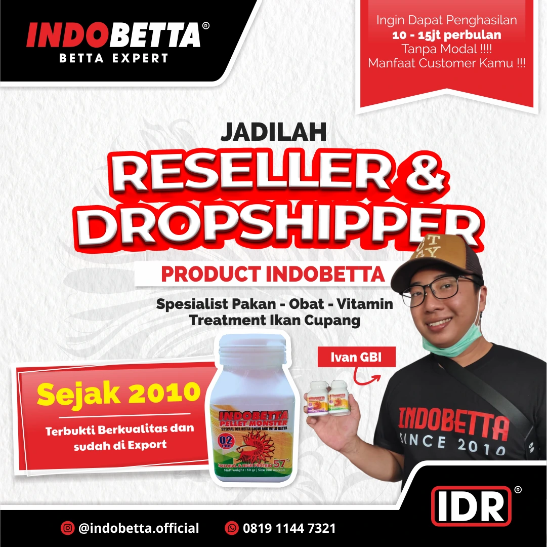 Konten ajakan program reseller Indobetta