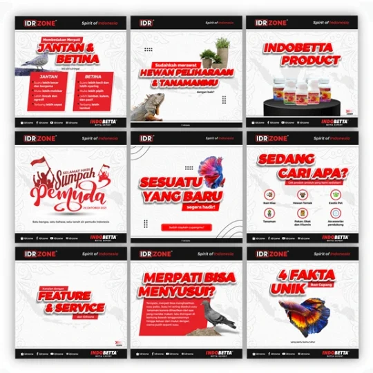 Overview Portfolio Instagram @idrzone yang Dikelola oleh Creativism