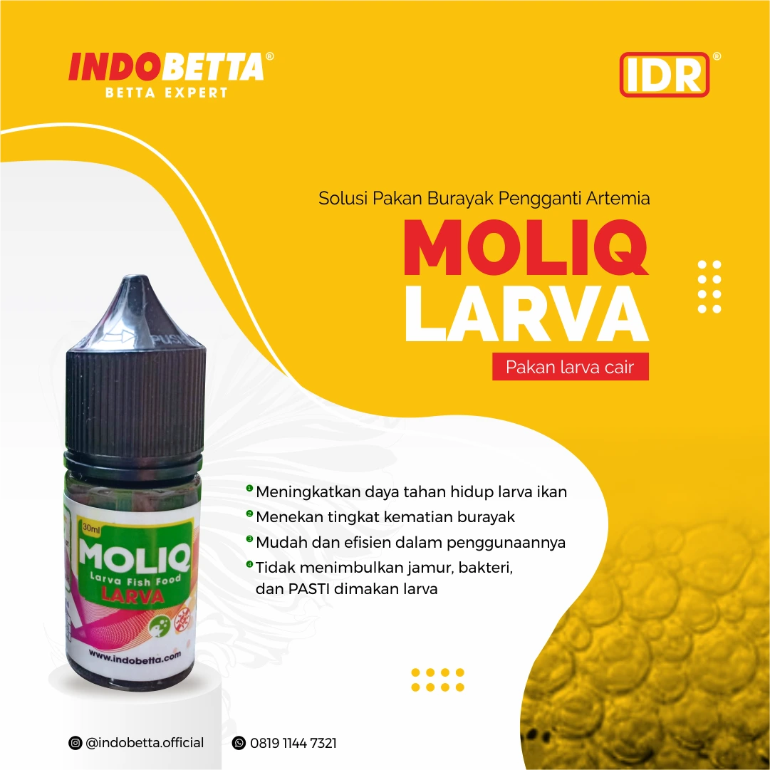 Konten produk Moliq Series Indobetta untuk perawatan burayak cupang