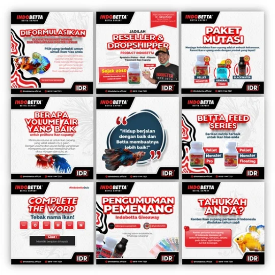 Screenshot Indobetta Jasa Kelola Instagram Suplemen Ikan Cupang