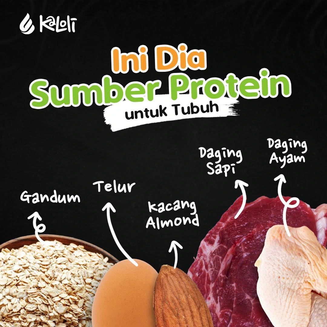 Konten edukasi jasa kelola Instagram Kaloli - Sumber Protein untuk Tubuh