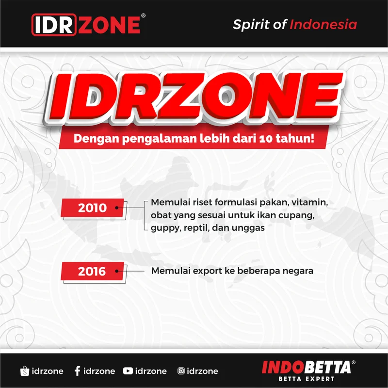 Konten IDR Zone pengalaman lebih dari 10 tahun