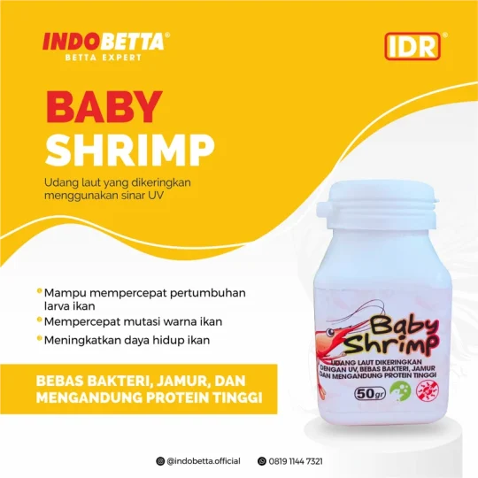 indobetta-feed-baby-shrimp