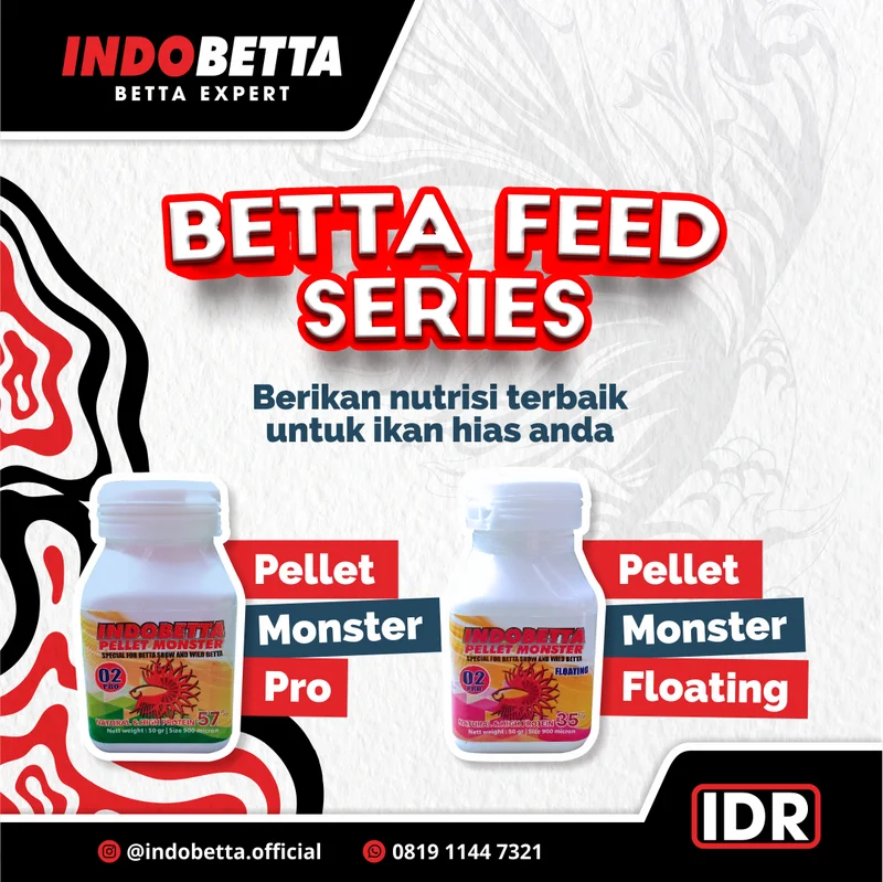 Feed Instagram Indobetta tentang produk Betta Feed suplemen ikan cupang dewasa
