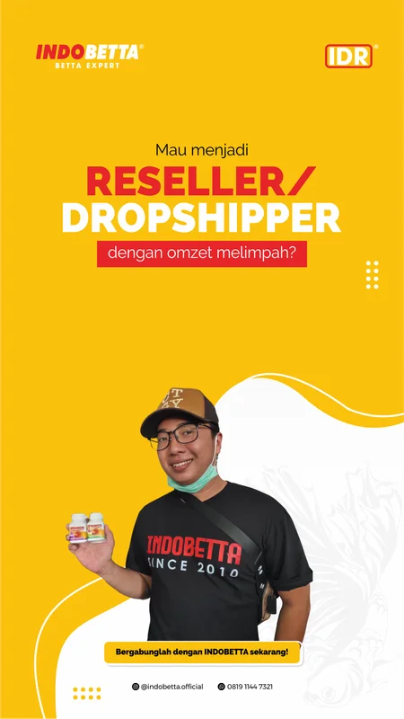 Konten story Instagram Indobetta program reseller suplemen ikan cupang