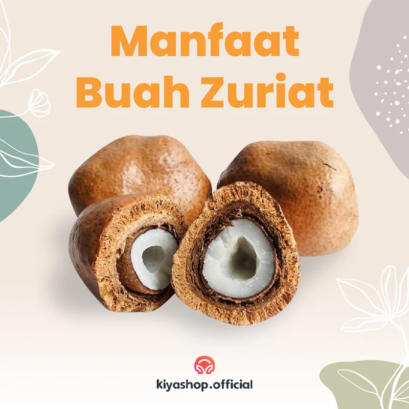Contoh konten feed Kiyashop - Manfaat Buah Zuriat