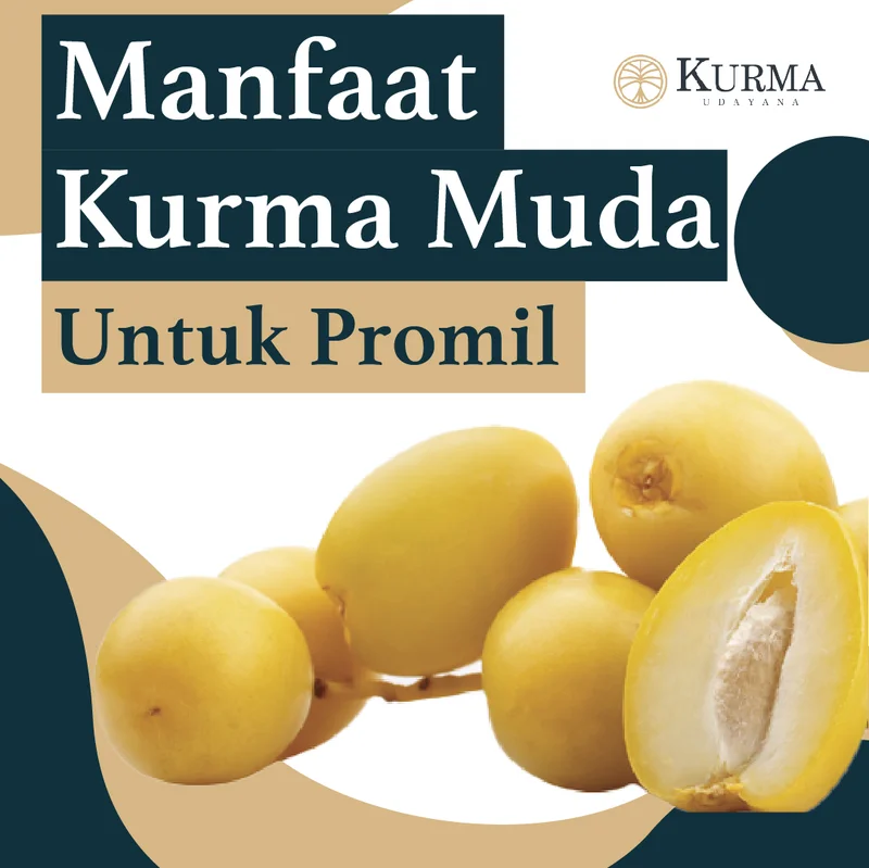 Konten feed Instagram Kurma Udayana - Manfaat Kurma Muda untuk Program Hamil