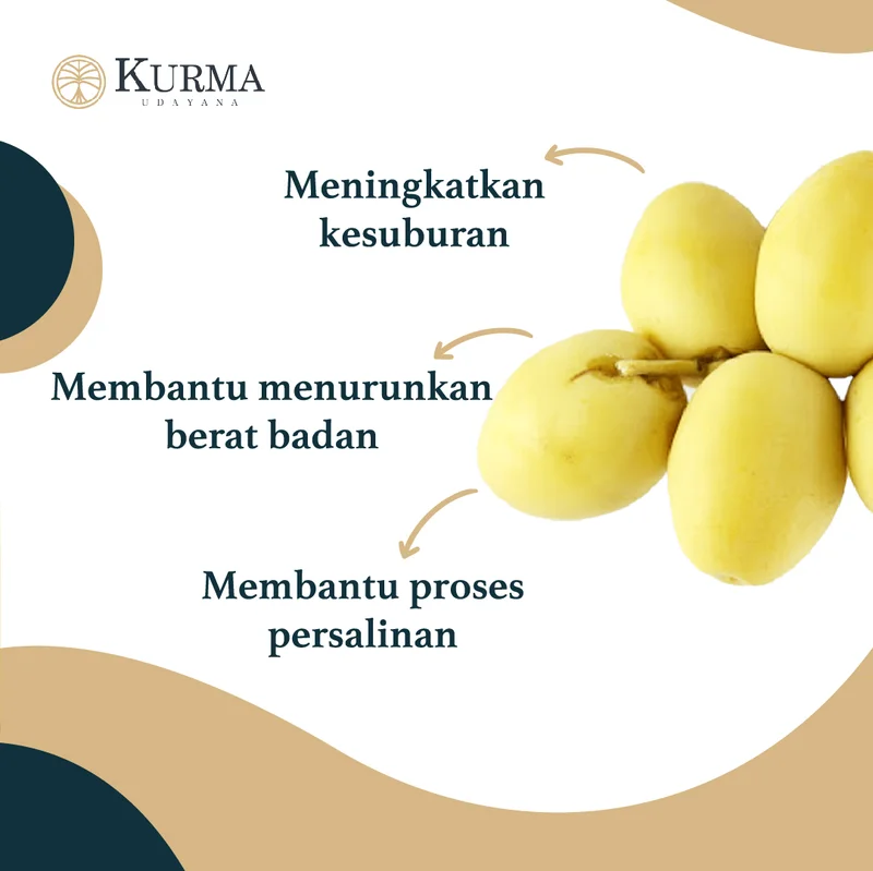 Konten feed Instagram Kurma Udayana - Series Manfaat Kurma Muda