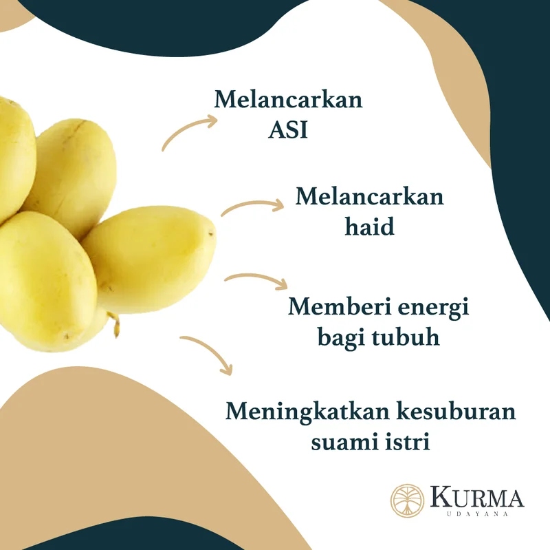 Konten Instagram Kurma Udayana - Manfaat Kurma Muda Series 3