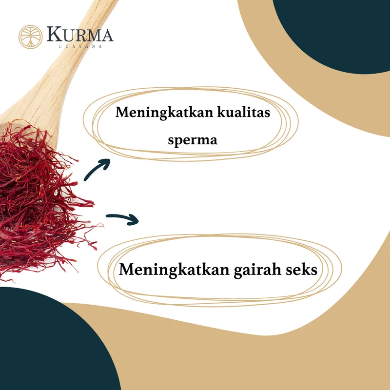Konten Instagram Kurma Udayana - Manfaat Saffron untuk Kesuburan