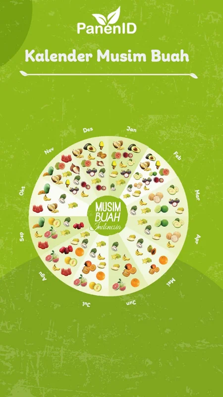 Desain konten edukasi Panen Indonesia - Kalender musim buah Indonesia sepanjang tahun